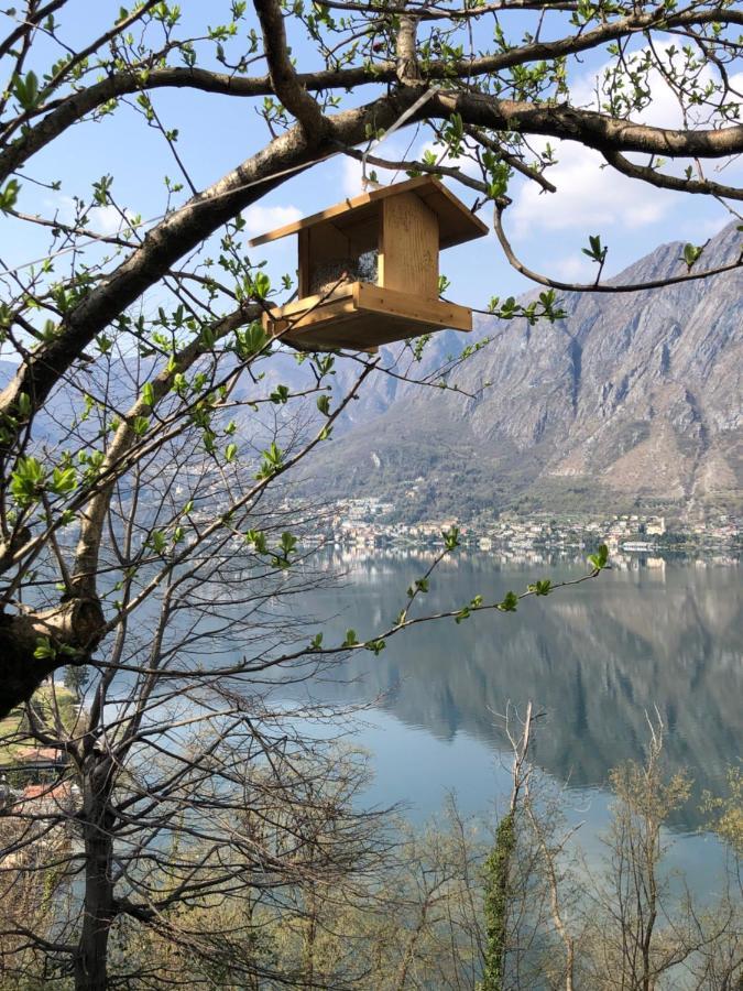 Milly Lake Claino Exterior foto